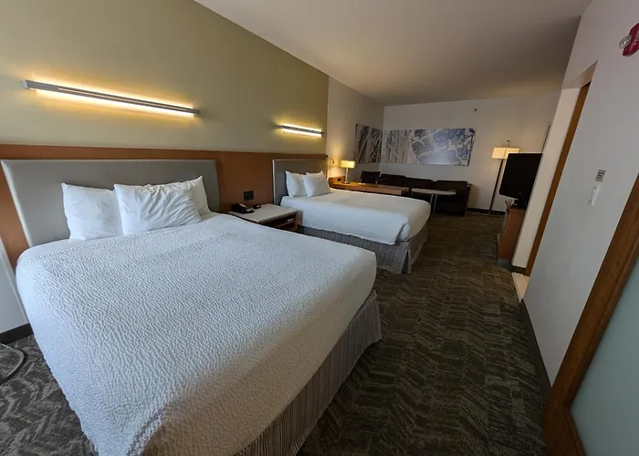 Springhill By Marriott Chicago Waukegan/gurnee Hotel Waukegan