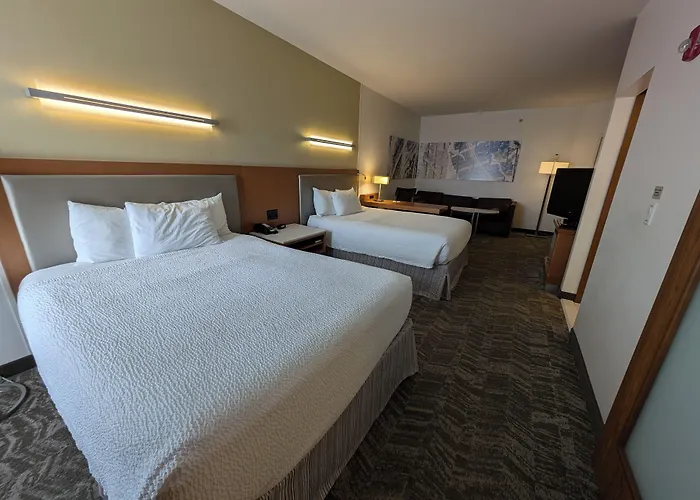 Hotel Springhill By Marriott Chicago Waukegan/gurnee Waukegan